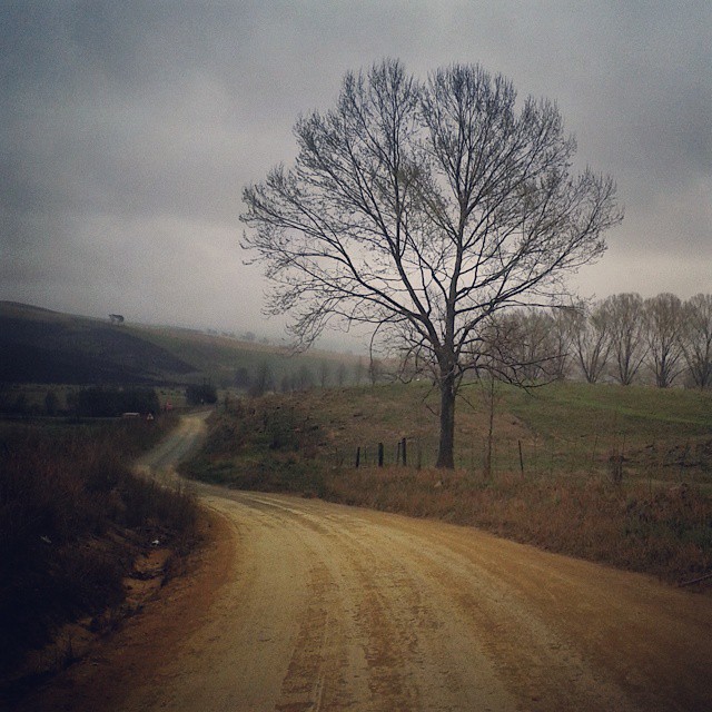 Dargle unpaved road